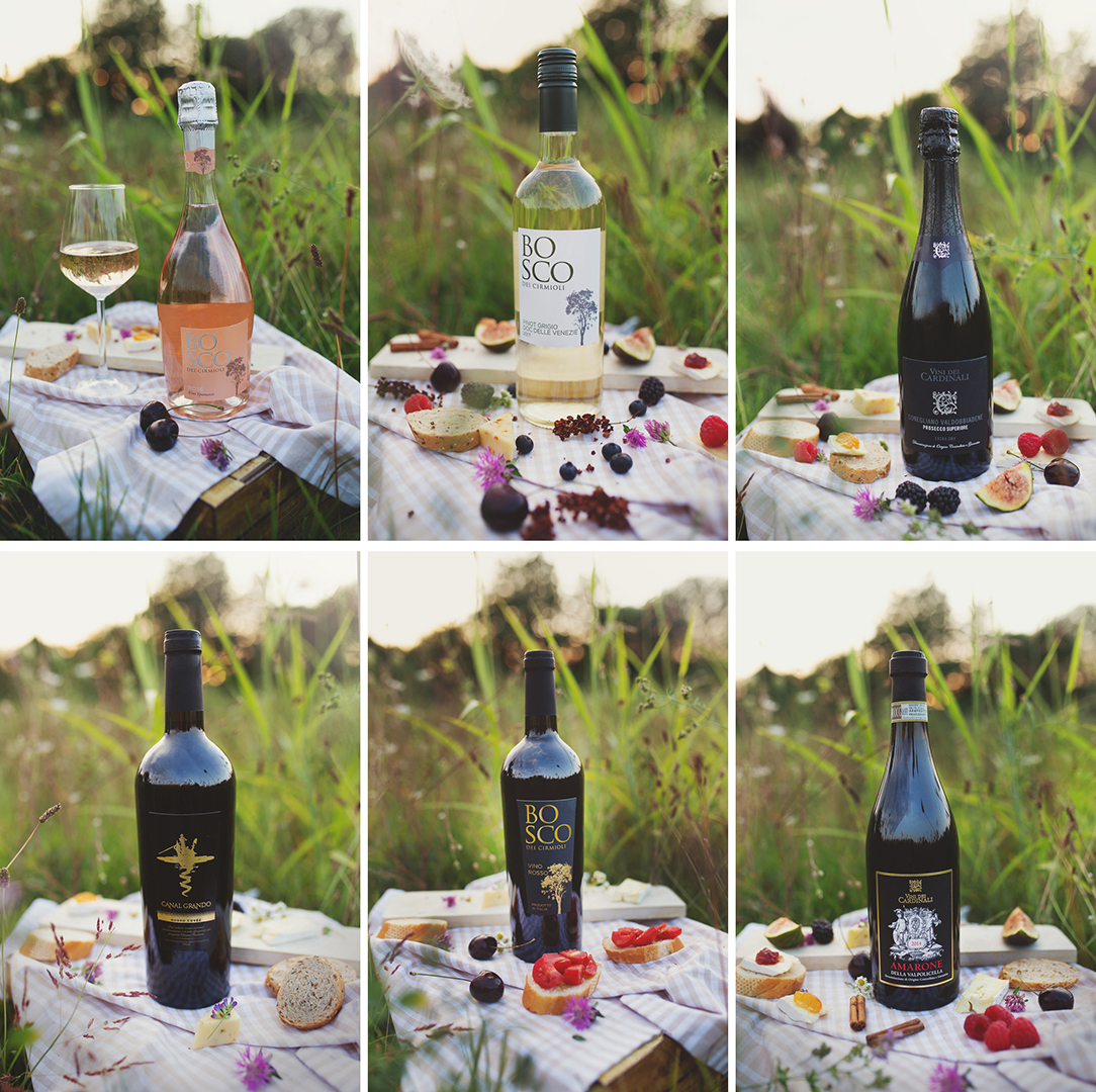foto bottiglie di vino treviso