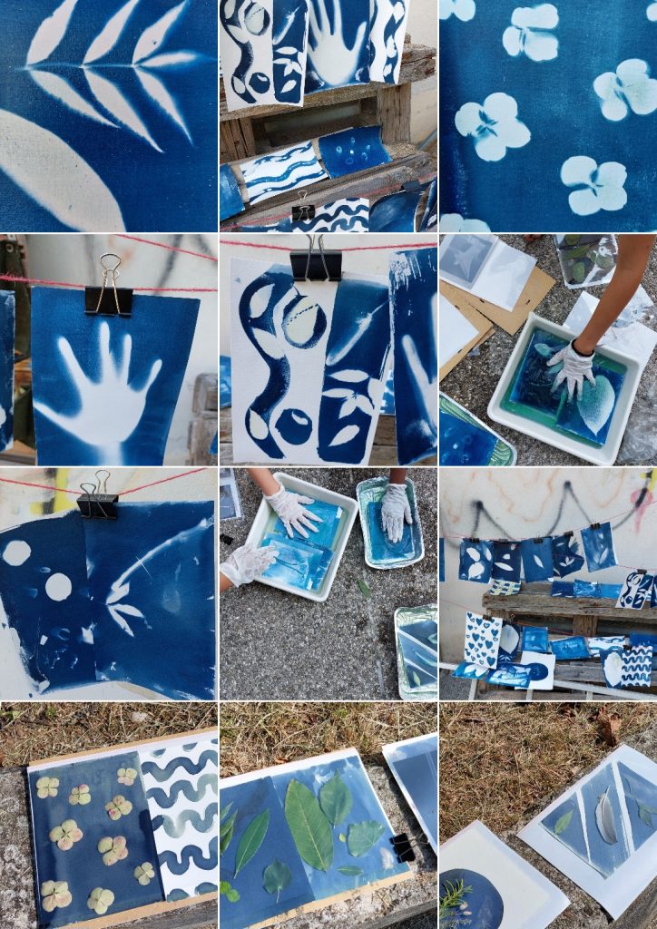 Impronta di foglie su cianotipia blu esplorando natura in Veneto